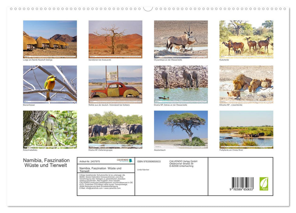 Namibia, Faszination Wüste und Tierwelt (CALVENDO Premium Wandkalender 2027)