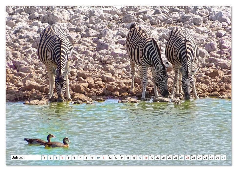 Namibia, Faszination Wüste und Tierwelt (CALVENDO Premium Wandkalender 2027)