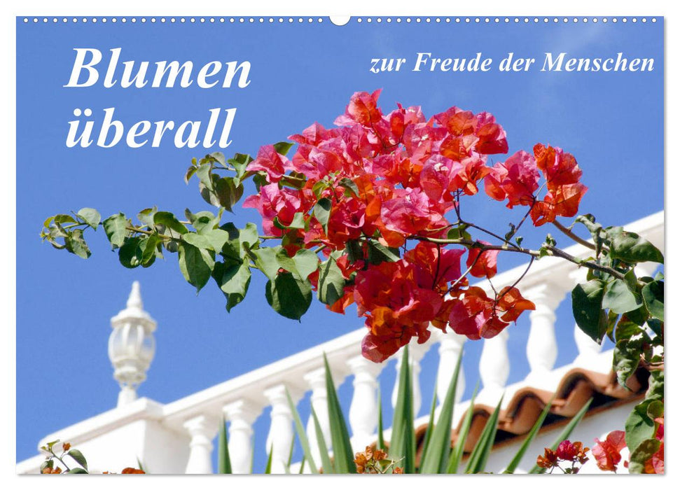 Blumen überall, zur Freude Menschen (CALVENDO Wandkalender 2027)