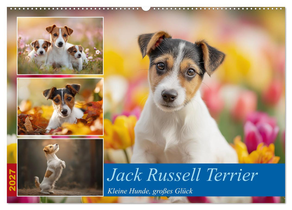 Jack Russell Terrier (CALVENDO Wandkalender 2027)