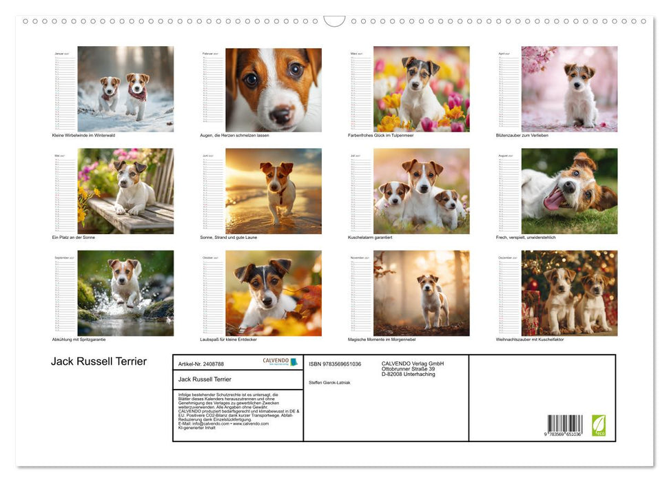 Jack Russell Terrier (CALVENDO Wandkalender 2027)