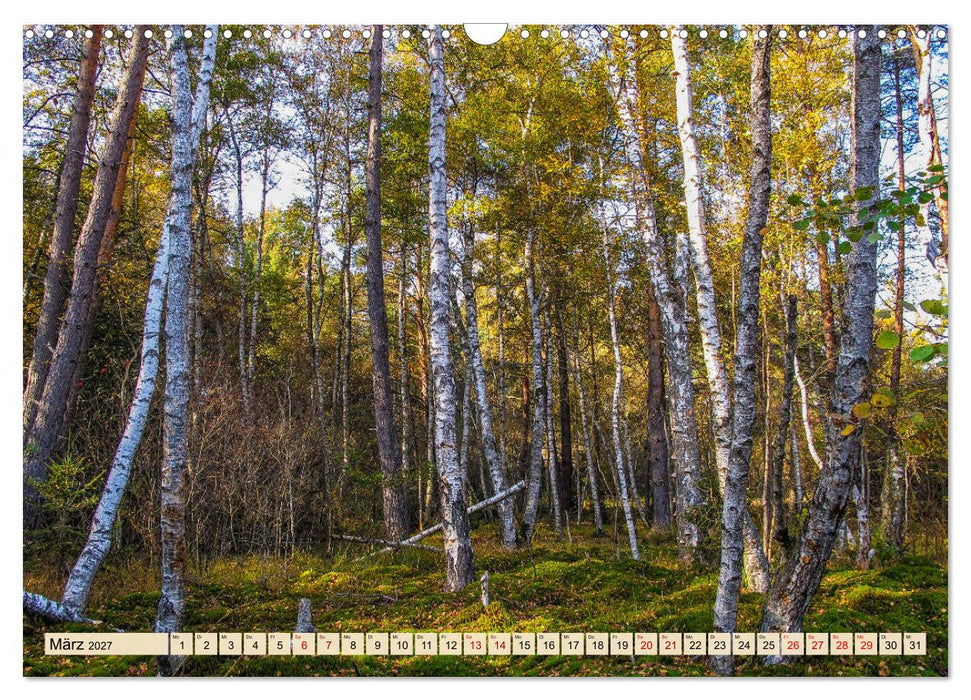 Herbst im Schwenninger Moos (CALVENDO Wandkalender 2027)