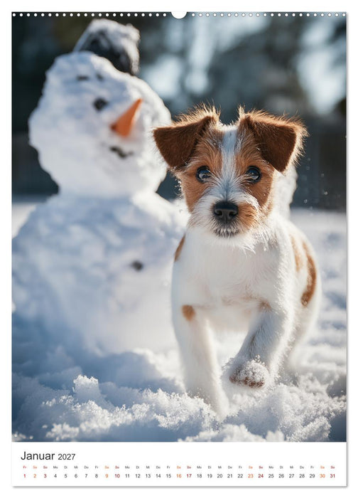 Pure Lebensfreude (CALVENDO Premium Wandkalender 2027)