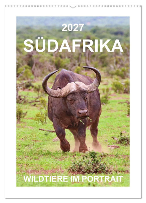 SÜDAFRIKA - WILDTIERE IM PORTRAIT (CALVENDO Wandkalender 2027)