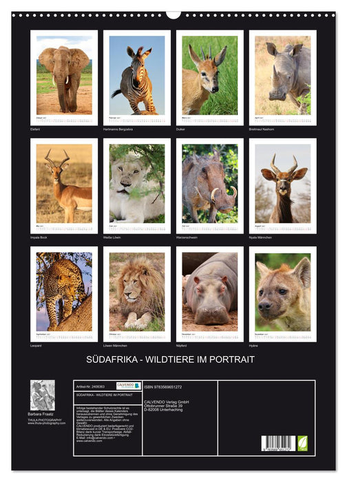 SÜDAFRIKA - WILDTIERE IM PORTRAIT (CALVENDO Wandkalender 2027)