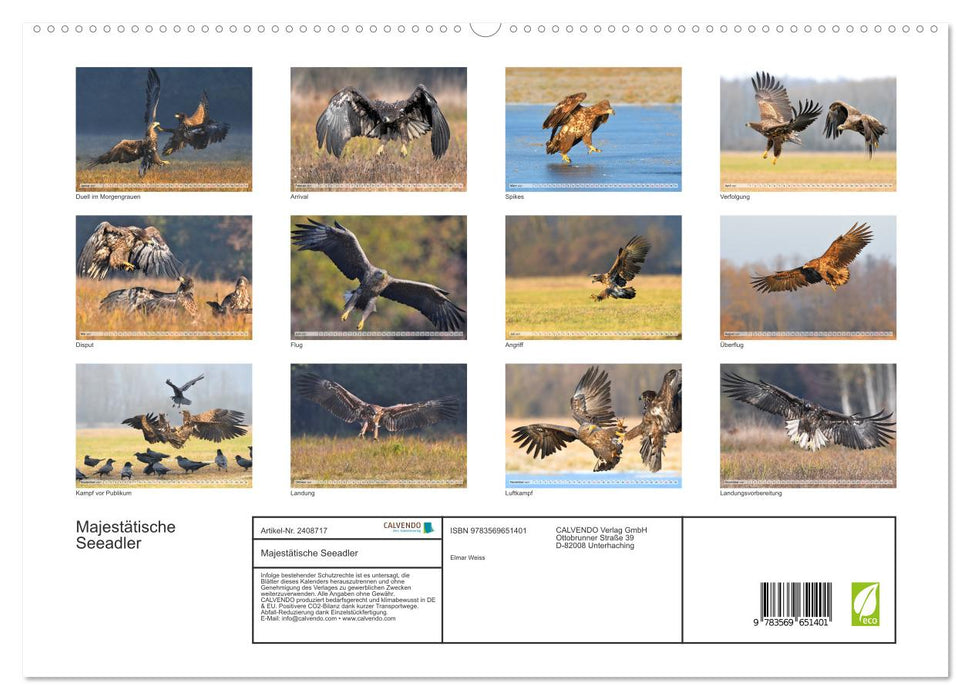 Majestätische Seeadler (CALVENDO Premium Wandkalender 2027)