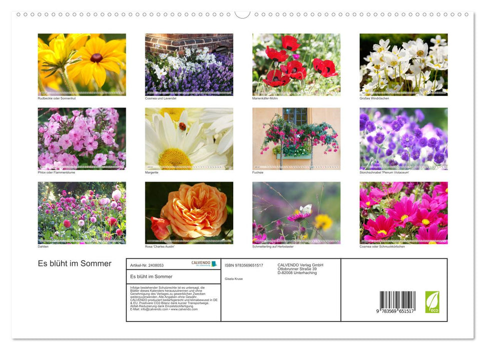 Es blüht im Sommer (CALVENDO Premium Wandkalender 2027)
