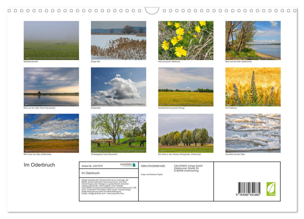 Im Oderbruch (CALVENDO Wandkalender 2027)