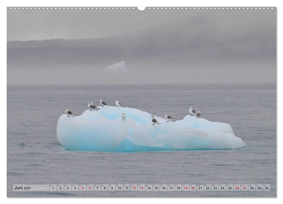 Grönland: Eisberge in der Disko Bucht (CALVENDO Wandkalender 2027)