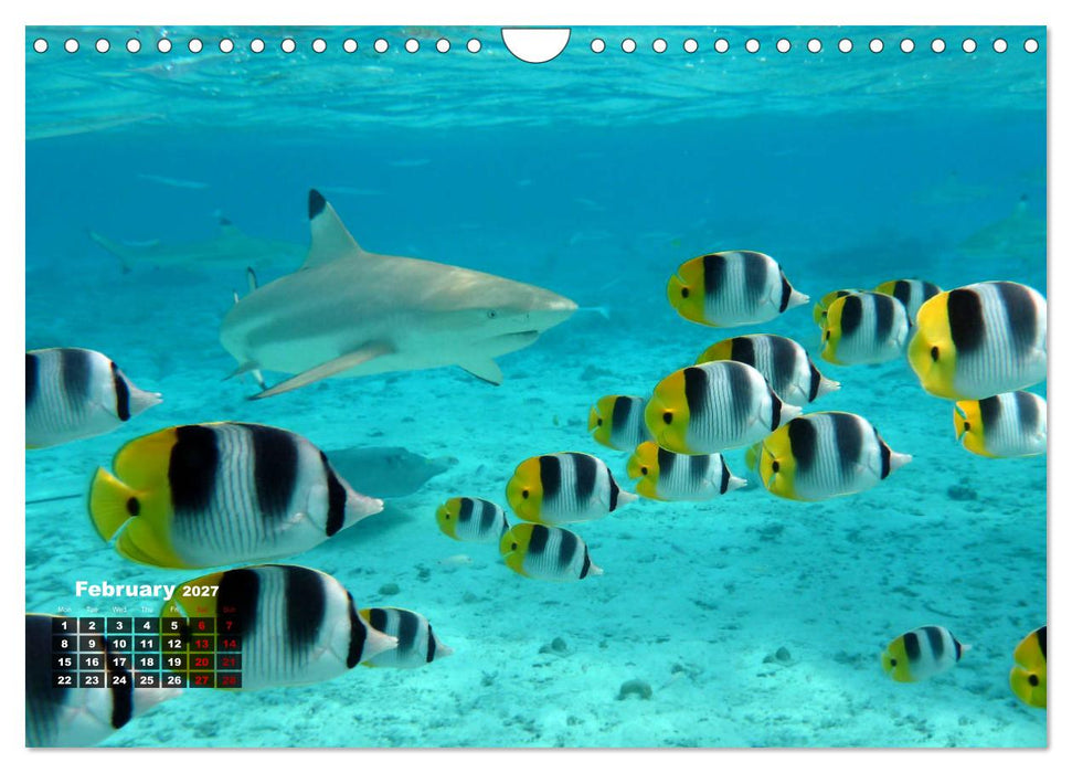 Bora Bora (CALVENDO Monthly Calendar 2027)