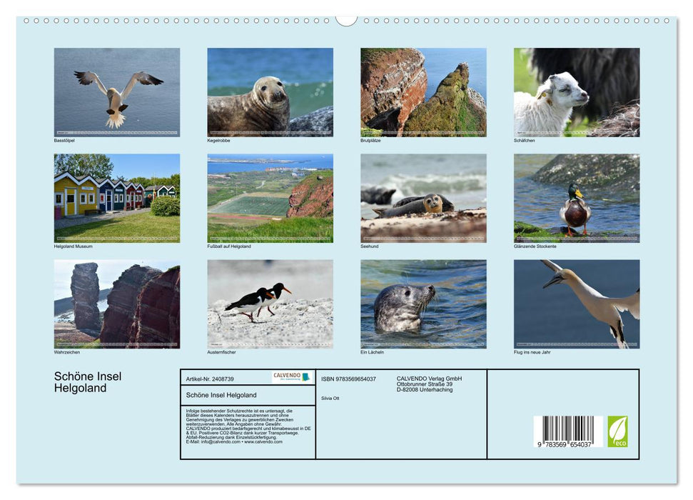 Schöne Insel Helgoland (CALVENDO Premium Wandkalender 2027)