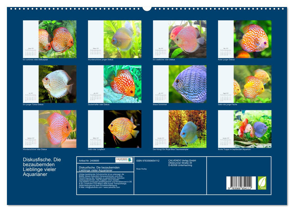 Diskusfische. Die bezaubernden Lieblinge vieler Aquarianer (CALVENDO Premium Wandkalender 2027)