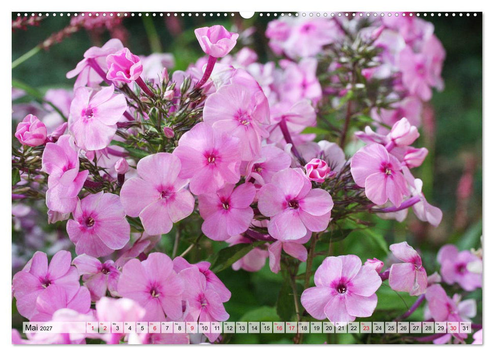 Es blüht im Sommer (CALVENDO Wandkalender 2027)
