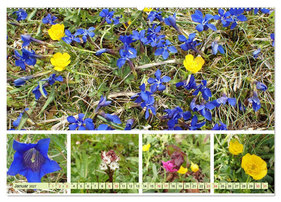 Blütenmeer am Wegesrand (CALVENDO Wandkalender 2027)