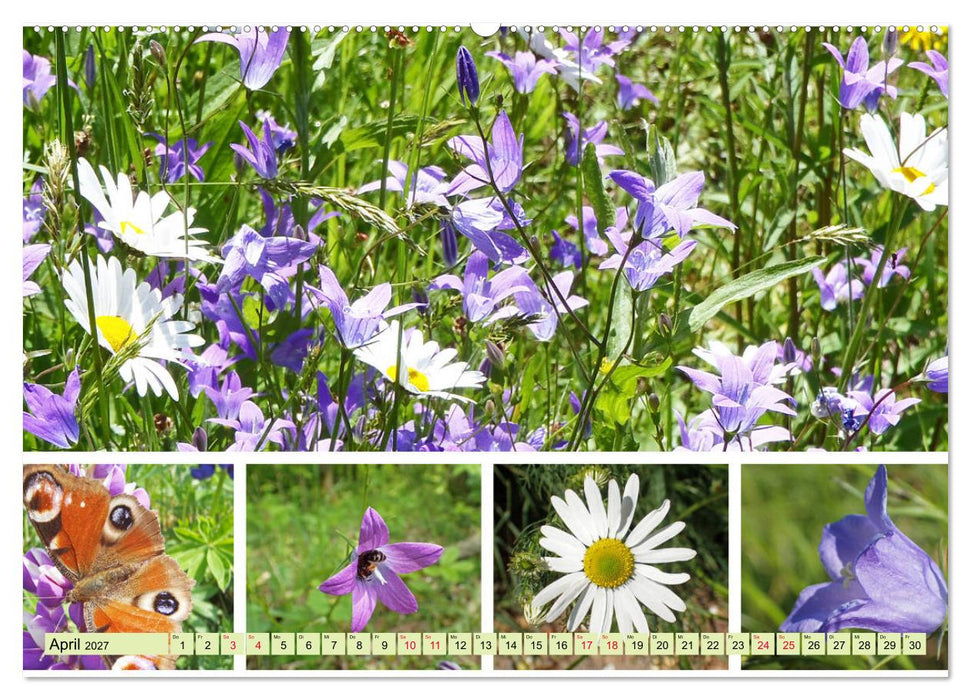 Blütenmeer am Wegesrand (CALVENDO Wandkalender 2027)