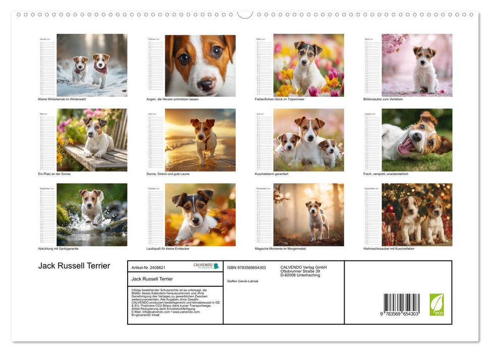 Jack Russell Terrier (CALVENDO Premium Wandkalender 2027)