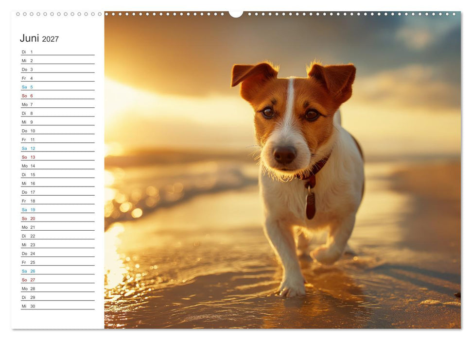 Jack Russell Terrier (CALVENDO Premium Wandkalender 2027)