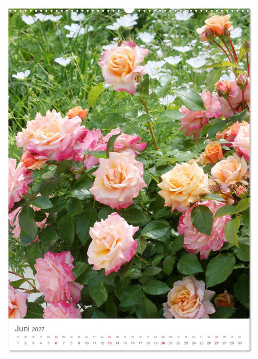 Glücklich mit Rosen (CALVENDO Wandkalender 2027)