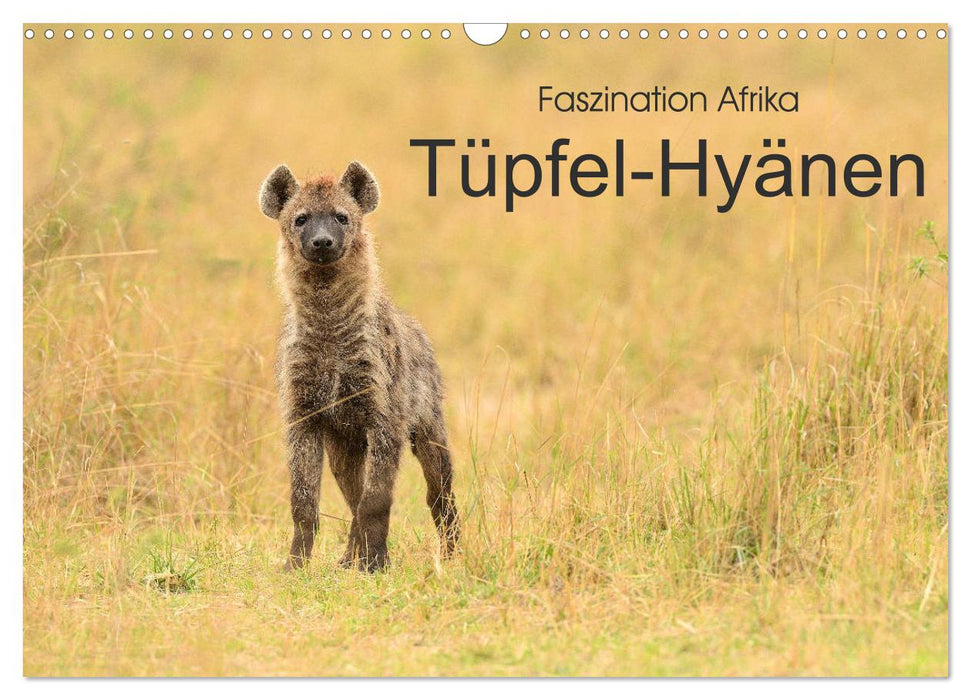 Faszination Afrika: Tüpfel-Hyänen (CALVENDO Wandkalender 2027)