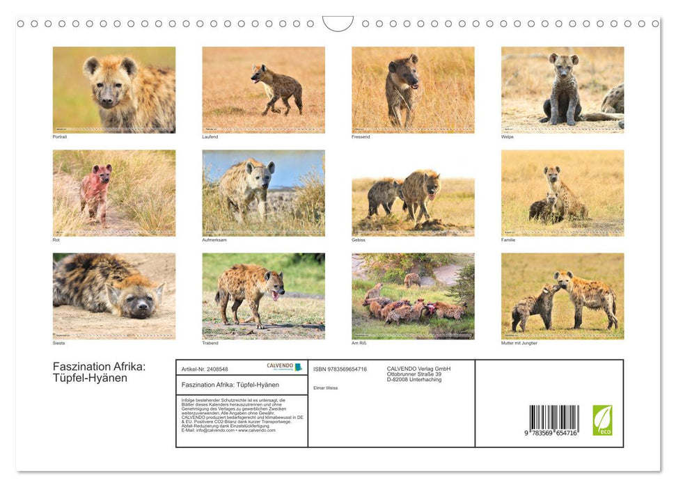 Faszination Afrika: Tüpfel-Hyänen (CALVENDO Wandkalender 2027)