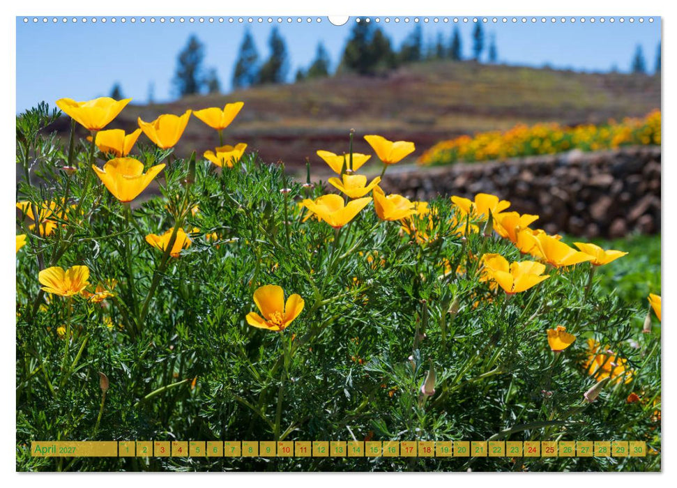 Landschaften der Kanaren - Traumziele für Wanderer (CALVENDO Wandkalender 2027)