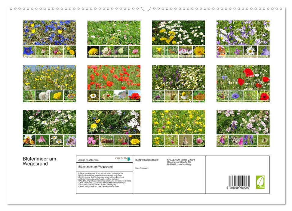 Blütenmeer am Wegesrand (CALVENDO Premium Wandkalender 2027)