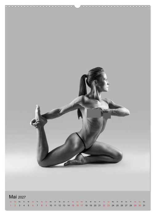 MS UNIVERSE (CALVENDO Premium Wandkalender 2027)