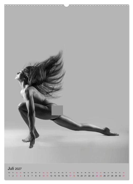 MS UNIVERSE (CALVENDO Premium Wandkalender 2027)