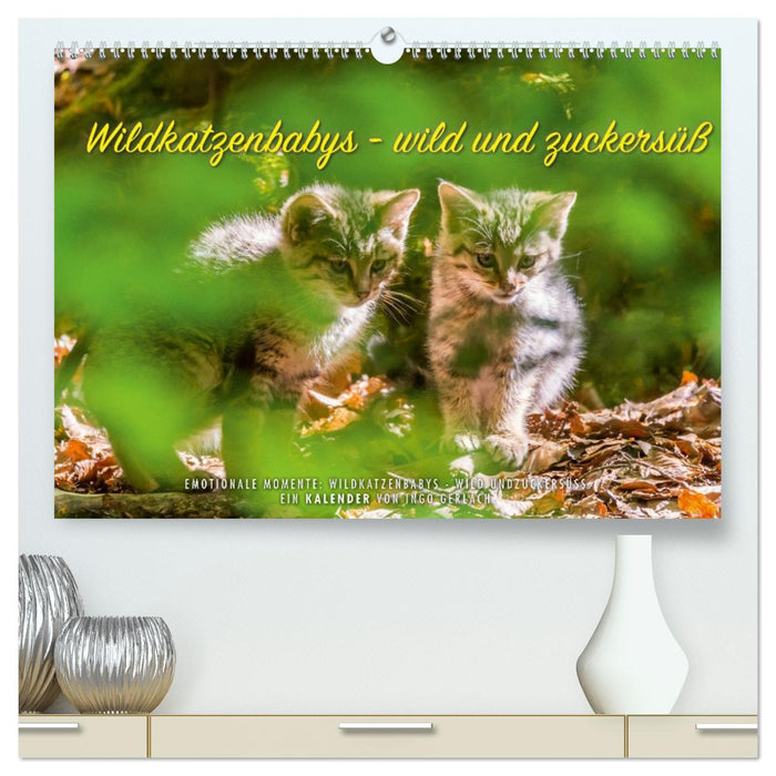 Wildkatzenbabys - wild und zuckersüß. (CALVENDO Premium Wandkalender 2027)