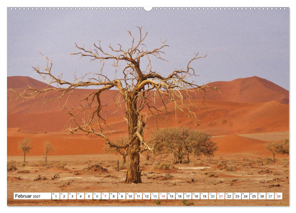 Namibia, Faszination Wüste und Tierwelt (CALVENDO Wandkalender 2027)