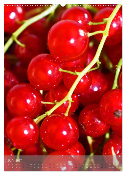 Blaubeeren, Himbeeren & Co - Makrofotografie in der Küche (CALVENDO Wandkalender 2027)