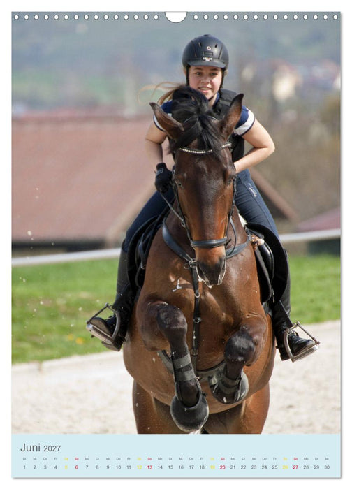 Springreiter in Aktion (CALVENDO Wandkalender 2027)