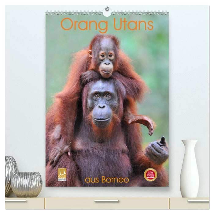 Orang Utans aus Borneo (CALVENDO Premium Wandkalender 2027)