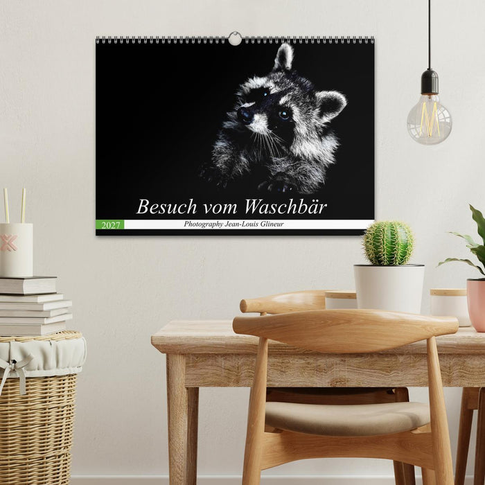 Besuch vom Waschbär (CALVENDO Wandkalender 2027)