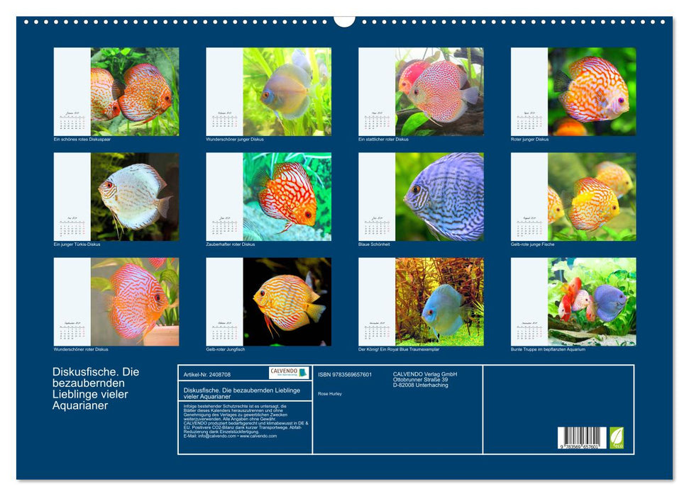 Diskusfische. Die bezaubernden Lieblinge vieler Aquarianer (CALVENDO Wandkalender 2027)