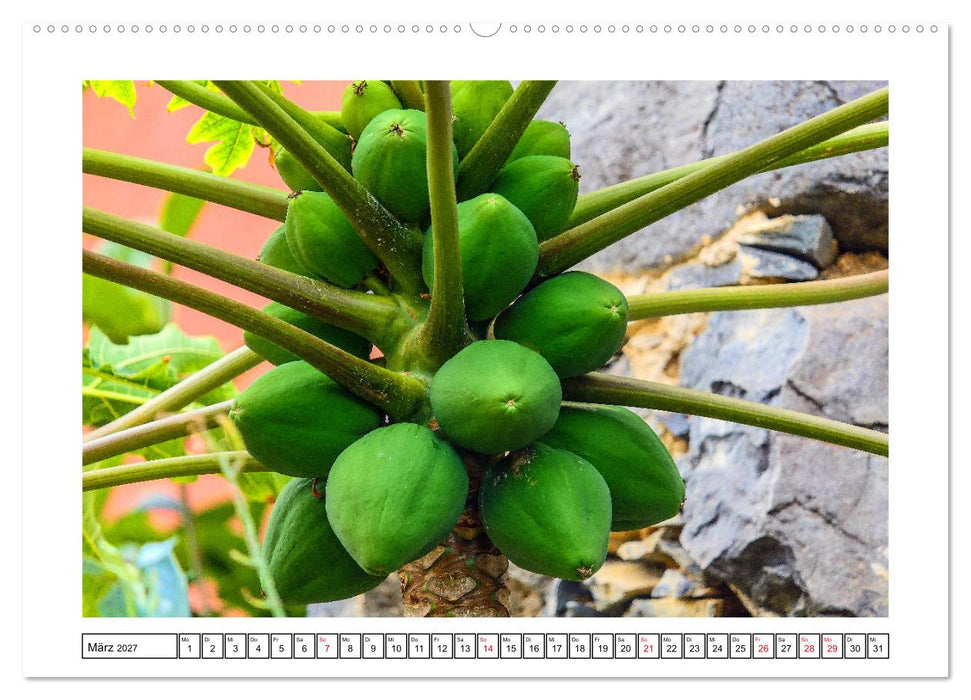 Insel der Sehnsucht - La Gomera (CALVENDO Wandkalender 2027)
