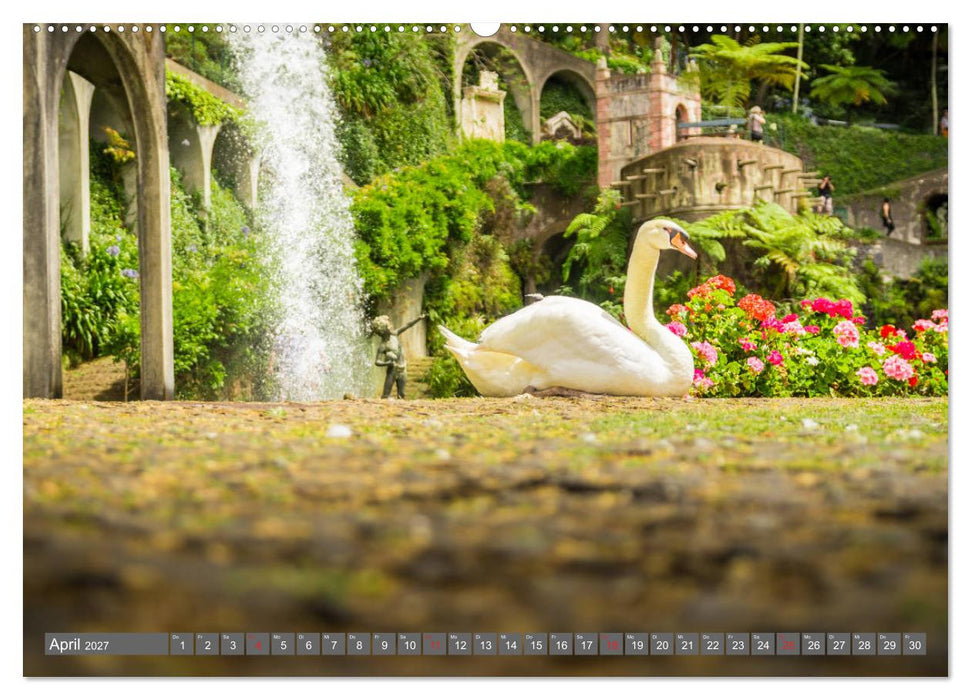 Madeira - Insel der Blumen 2027 (CALVENDO Premium Wandkalender 2027)
