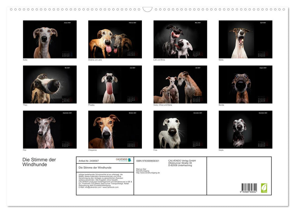 Die Stimme der Windhunde (CALVENDO Wandkalender 2027)