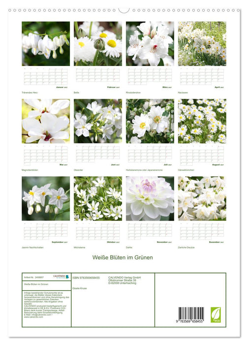 Weiße Blüten im Grünen (CALVENDO Premium Wandkalender 2027)