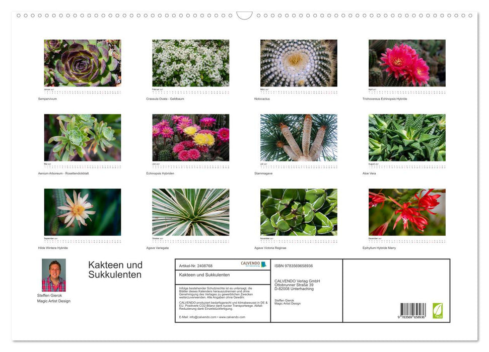 Kakteen und Sukkulenten (CALVENDO Wandkalender 2027)