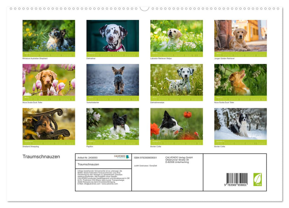 Traumschnauzen (CALVENDO Premium Wandkalender 2027)