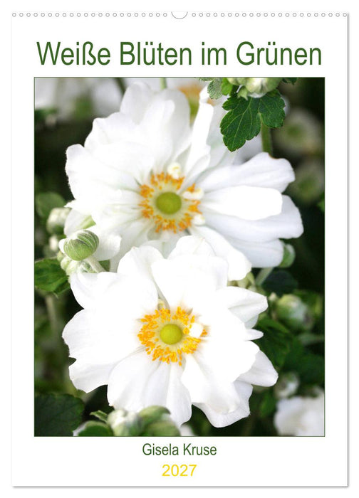 Weiße Blüten im Grünen (CALVENDO Wandkalender 2027)