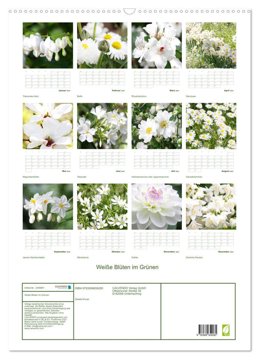 Weiße Blüten im Grünen (CALVENDO Wandkalender 2027)