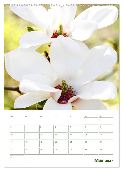 Weiße Blüten im Grünen (CALVENDO Wandkalender 2027)