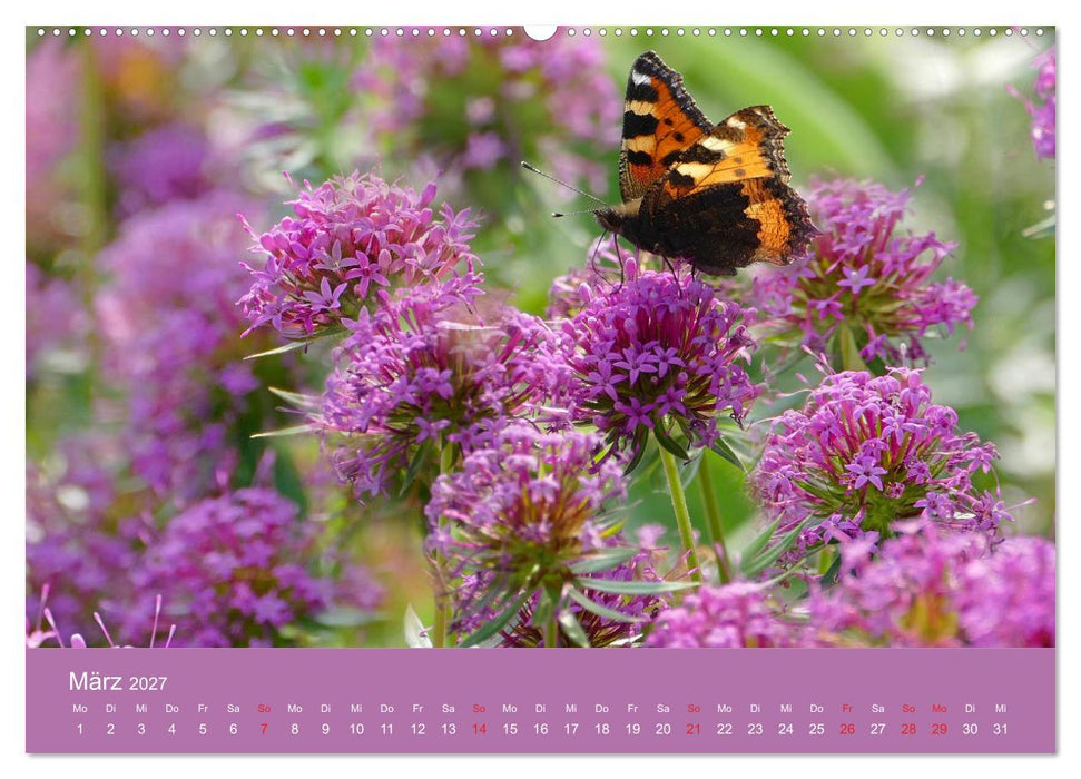 Fauna trifft Flora - Tierischer Besuch im Pflanzenreich (CALVENDO Premium Wandkalender 2027)
