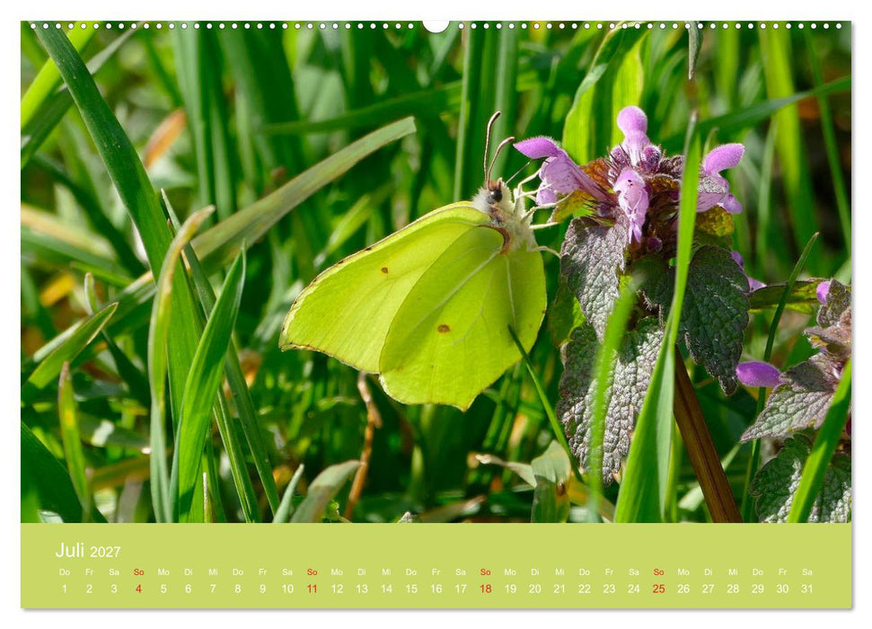 Fauna trifft Flora - Tierischer Besuch im Pflanzenreich (CALVENDO Premium Wandkalender 2027)