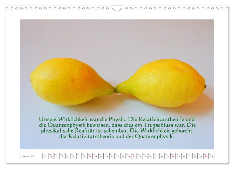 Quantenphysikalischer Nachdenk-Kalender (CALVENDO Wandkalender 2027)