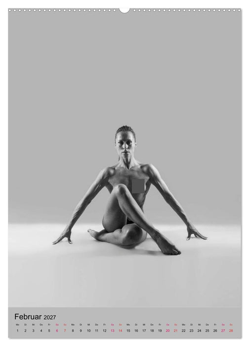 MS UNIVERSE (CALVENDO Wandkalender 2027)