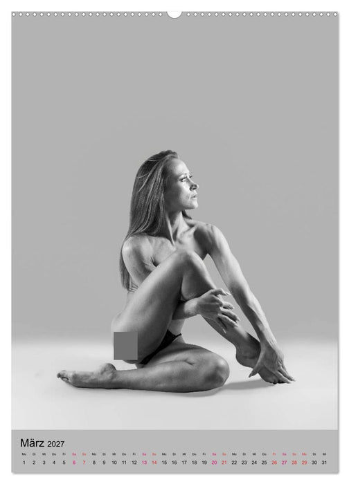 MS UNIVERSE (CALVENDO Wandkalender 2027)
