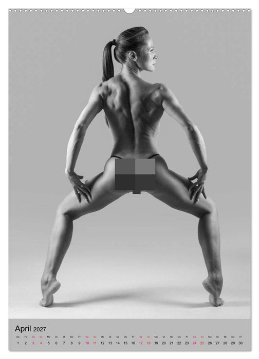 MS UNIVERSE (CALVENDO Wandkalender 2027)